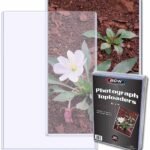 71mo33QAO6S._AC_SL1200_