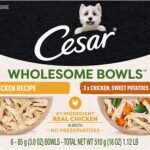 81bJ2SlhkHL._AC_SL1500_